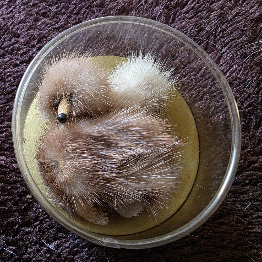 Fur Pin Poodle